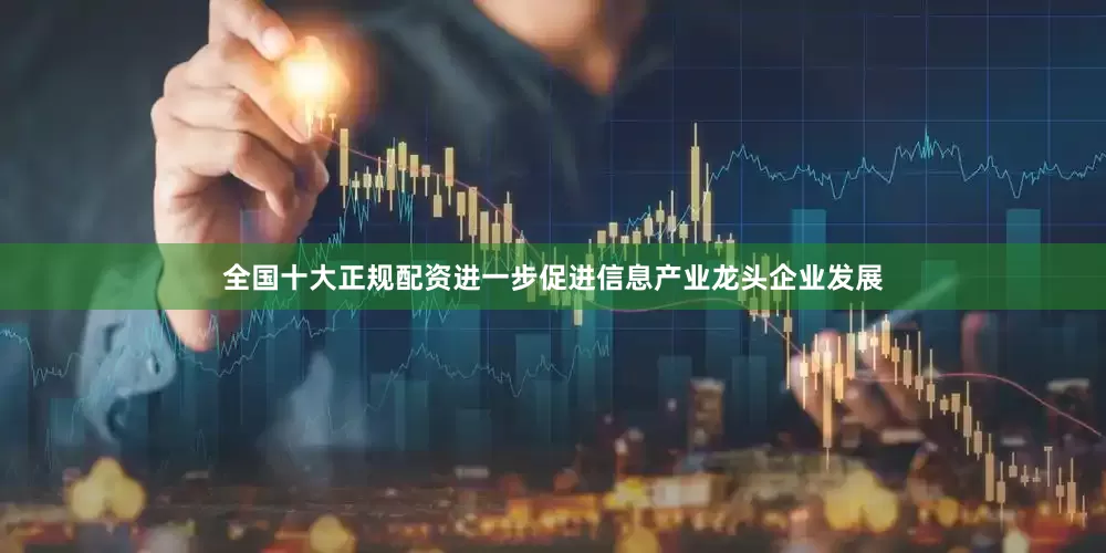 全国十大正规配资进一步促进信息产业龙头企业发展