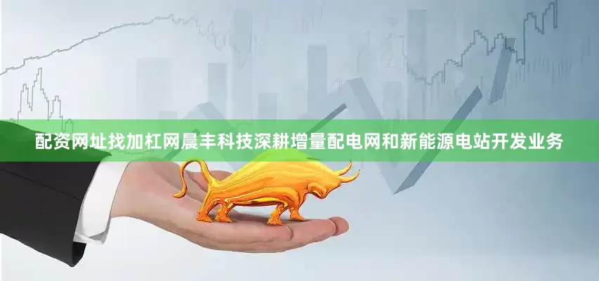 配资网址找加杠网晨丰科技深耕增量配电网和新能源电站开发业务