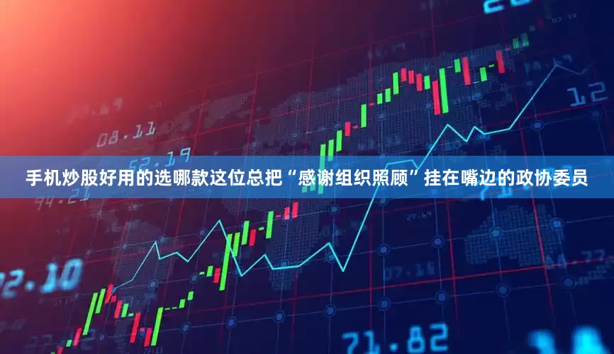 手机炒股好用的选哪款这位总把“感谢组织照顾”挂在嘴边的政协委员