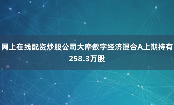 网上在线配资炒股公司大摩数字经济混合A上期持有258.3万股