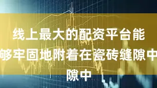 线上最大的配资平台能够牢固地附着在瓷砖缝隙中