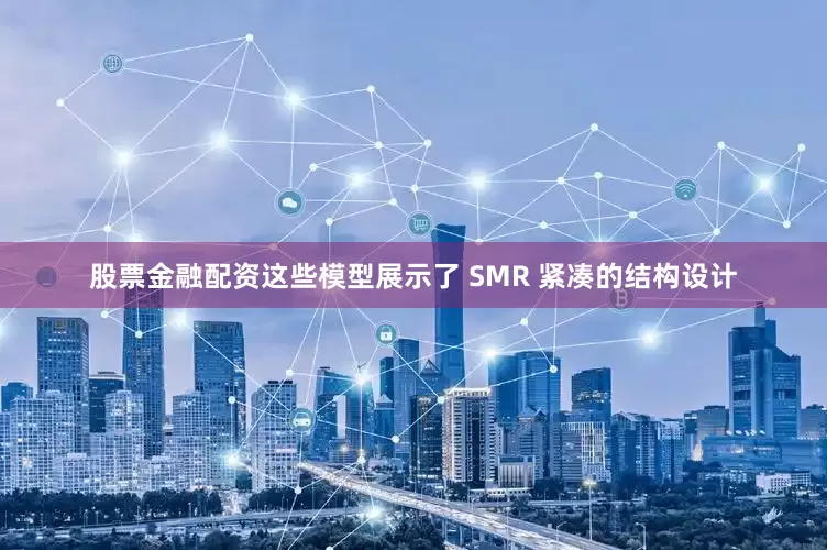 股票金融配资这些模型展示了 SMR 紧凑的结构设计