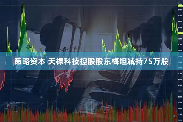 策略资本 天禄科技控股股东梅坦减持75万股
