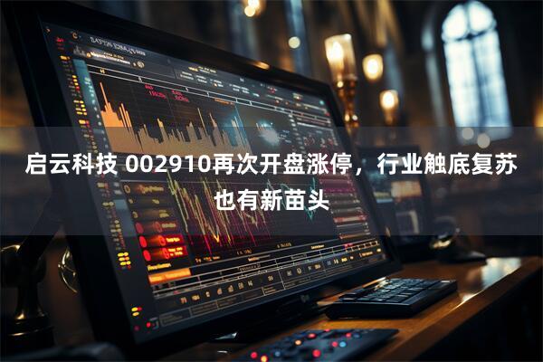 启云科技 002910再次开盘涨停，行业触底复苏也有新苗头